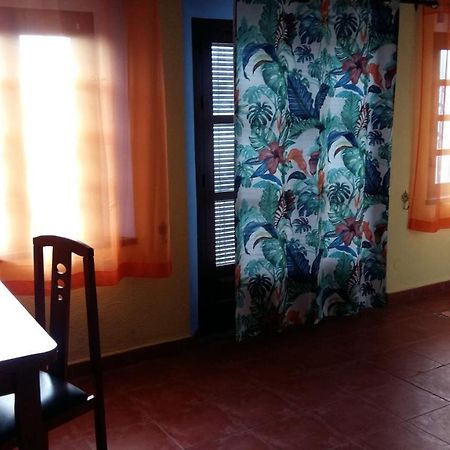 Sunshine Apartment At Tropical Coast Of Granada Almuñécar Eksteriør bilde
